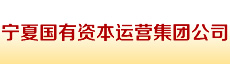宁夏国有资本运营集团公司